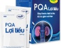 PQA Lợi Tiểu